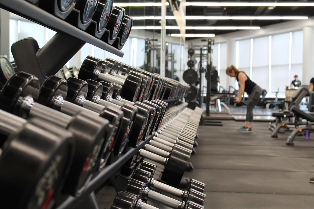 barbells lined up at fitness facility
